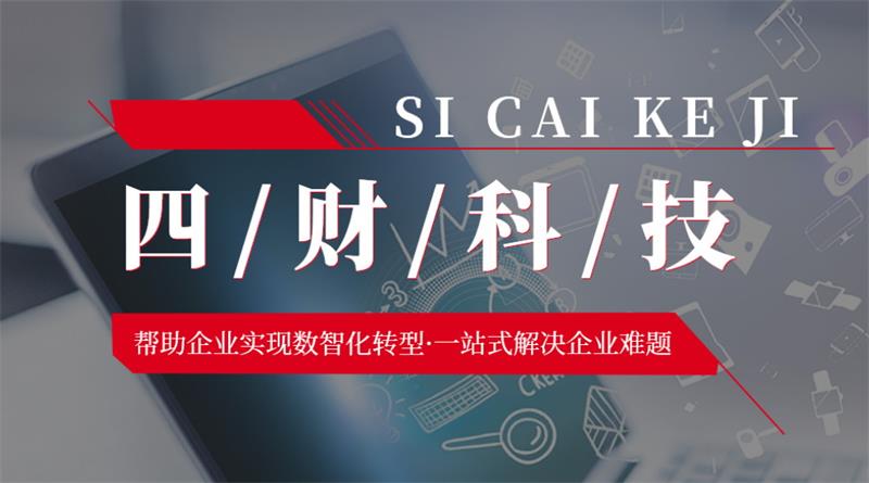 成都四財科技，助力企業(yè)實現(xiàn)數(shù)智化轉(zhuǎn)型